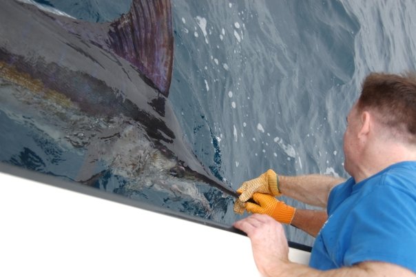 1919394_144816186601_7582388_n