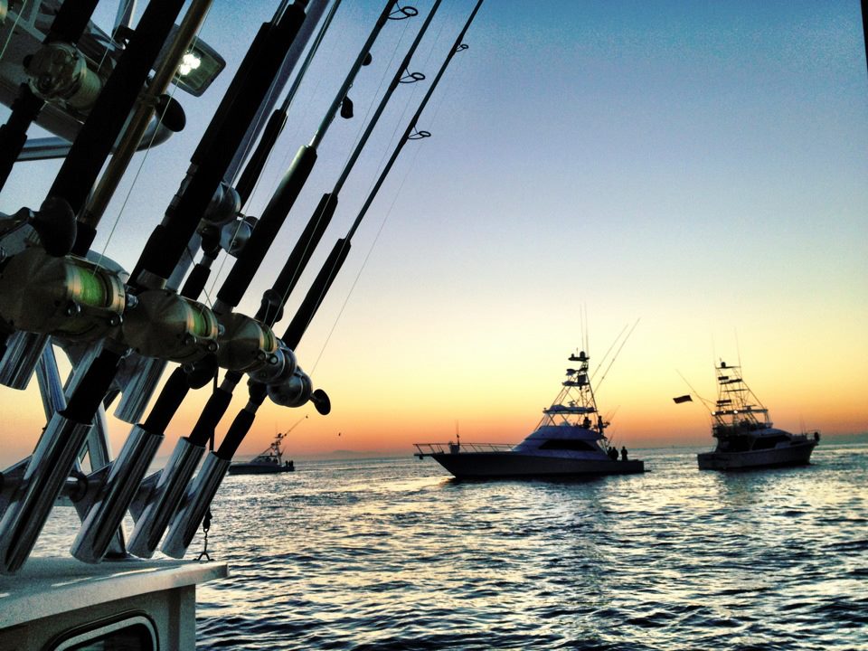 384224_10151175420131602_855912443_n