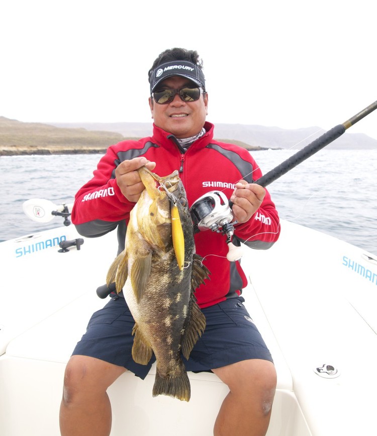 5662353064_bfdf436a96_b